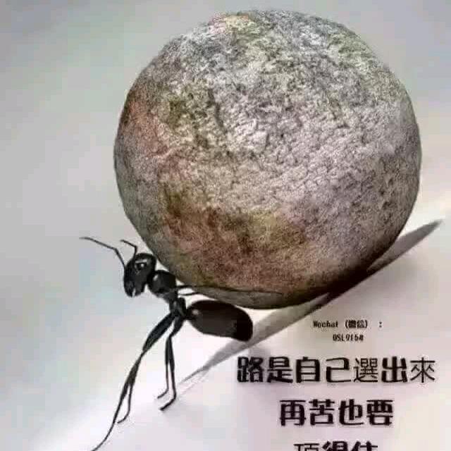 逆流