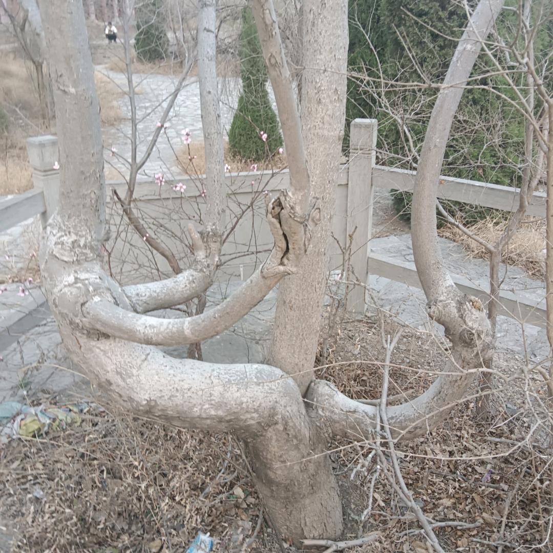 永哥探怪事