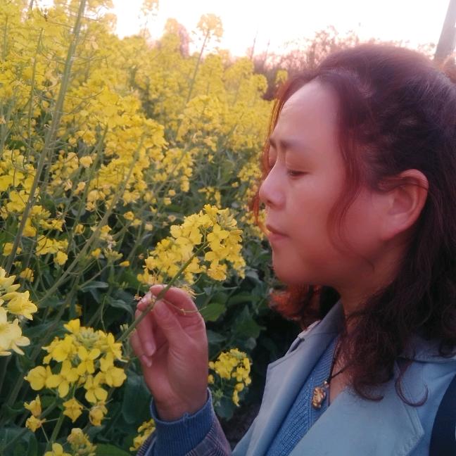 晨光熹微☀☀