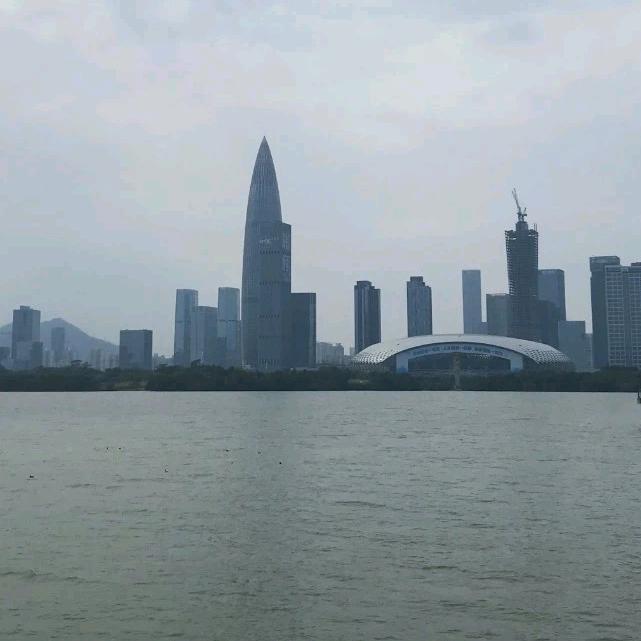愚者