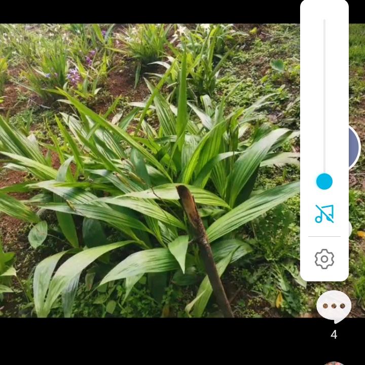明天会更好23690474794