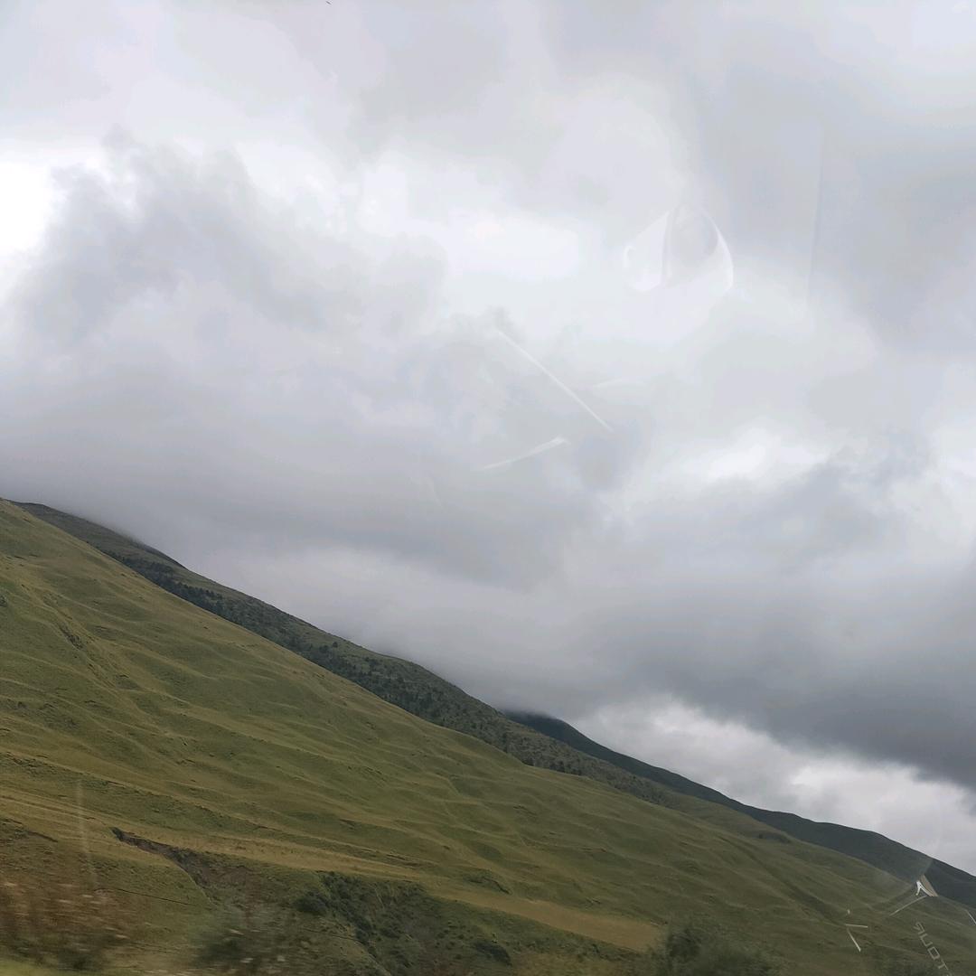 骆域,,