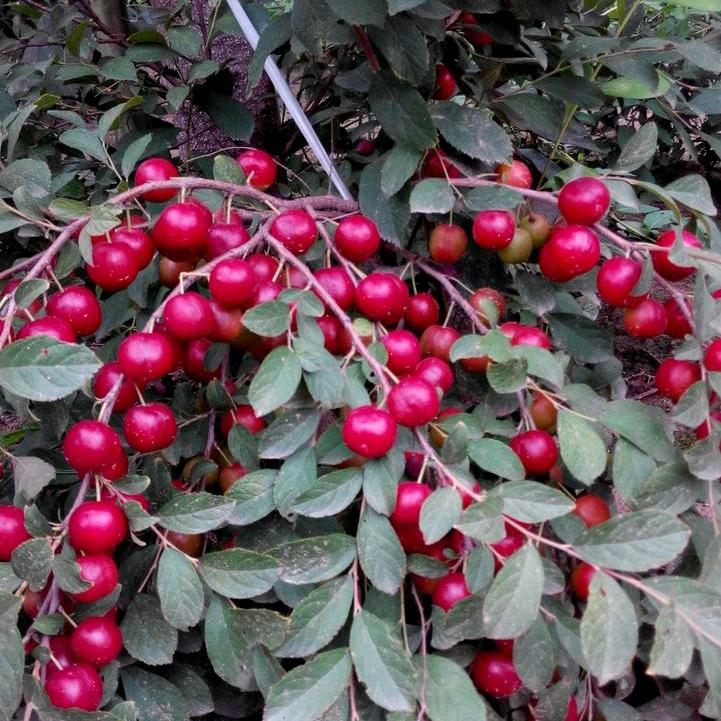 🌈🌈上善若水