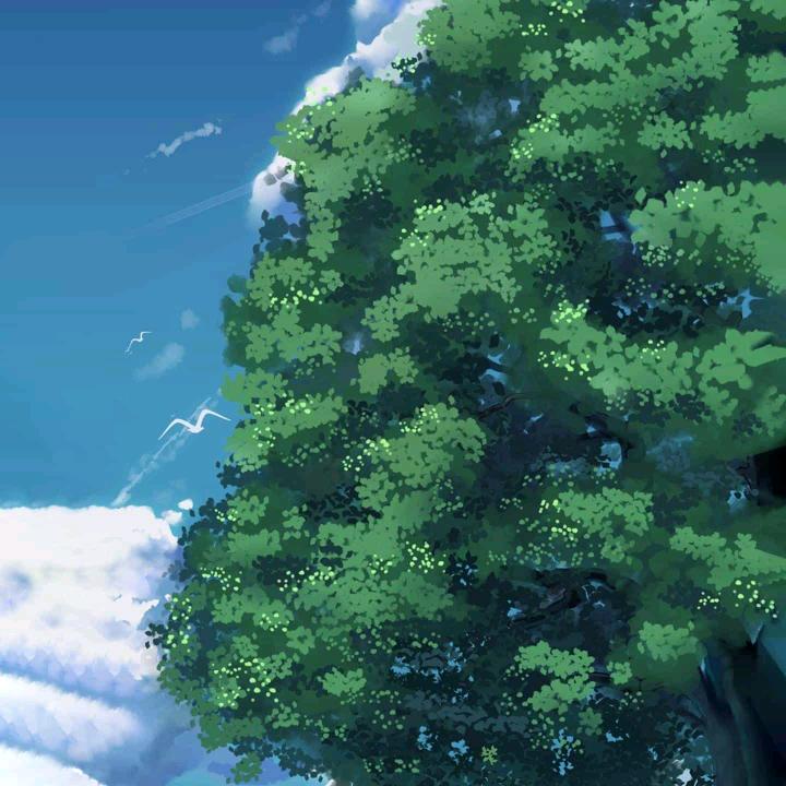 缘分天空$