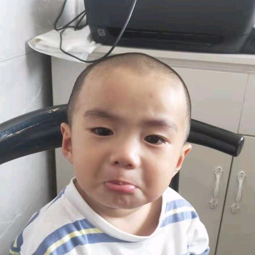 文先生8