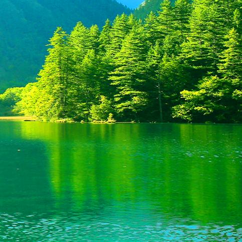 永不忘记的日子