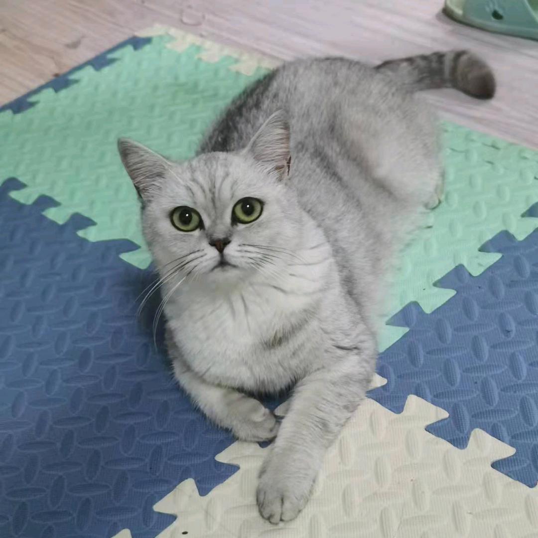 embody岁月