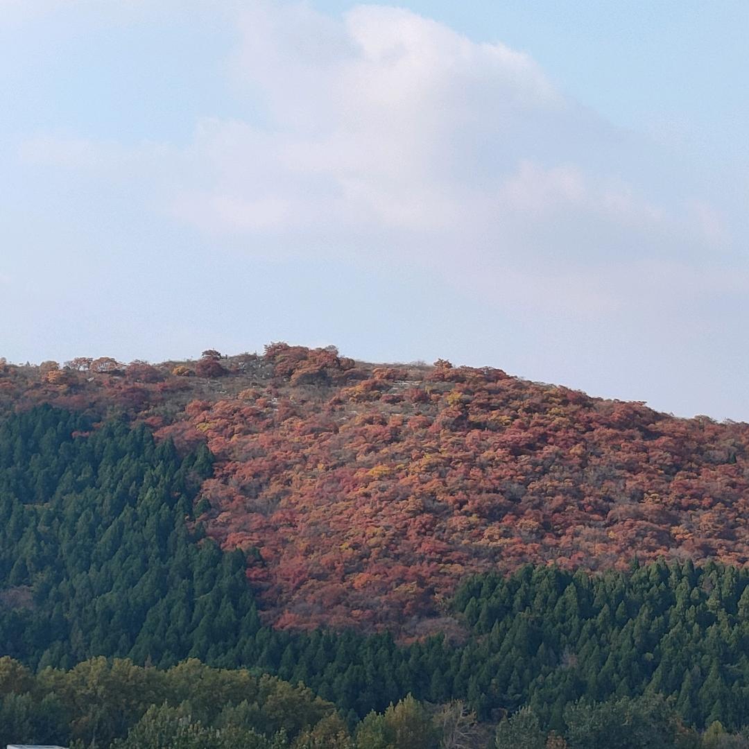 长城