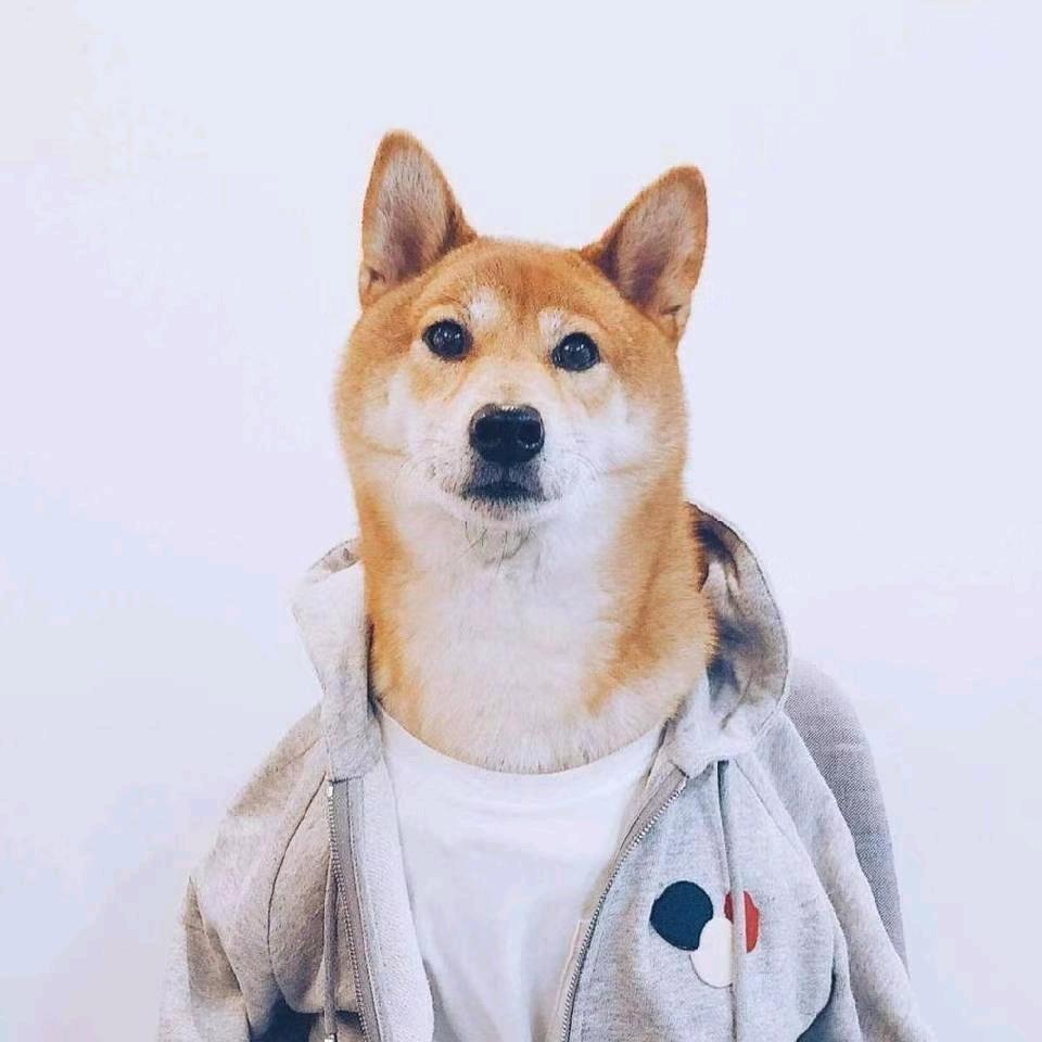 一纸荒年