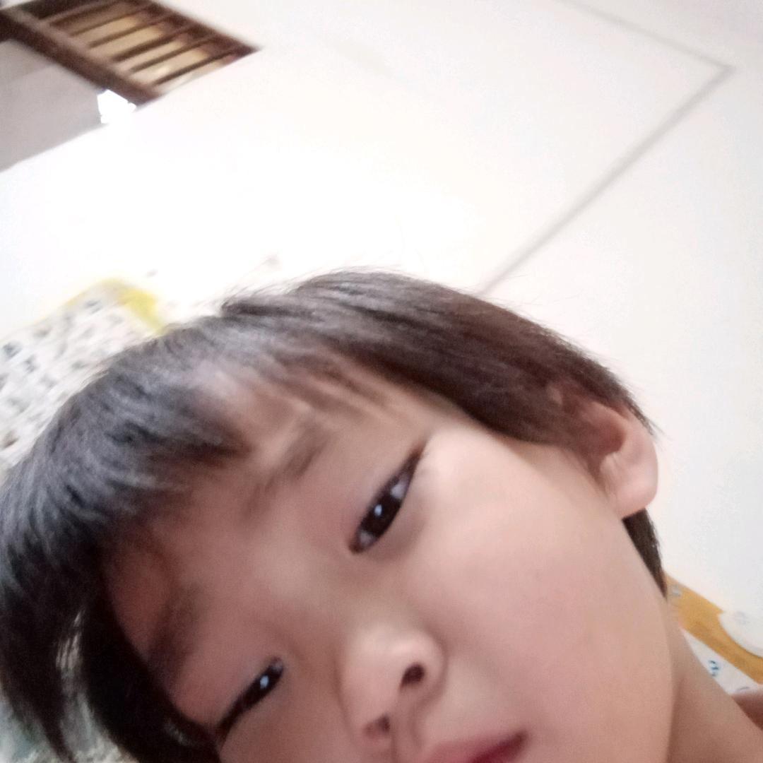 猫咪