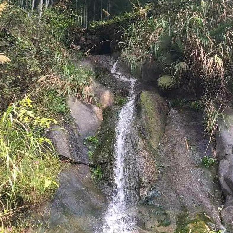 混生活