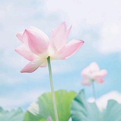 丽欣  连赞不超过三个！拒私聊！