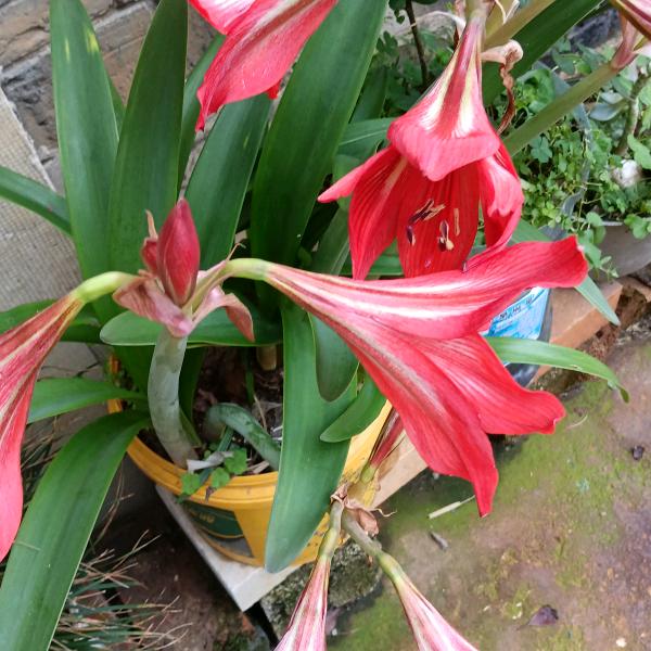 从此封心所爱，让心归零