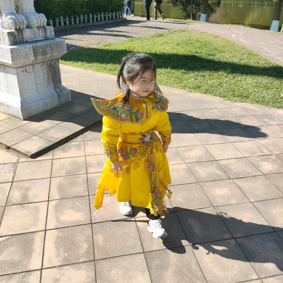 🌾大道至简🌴