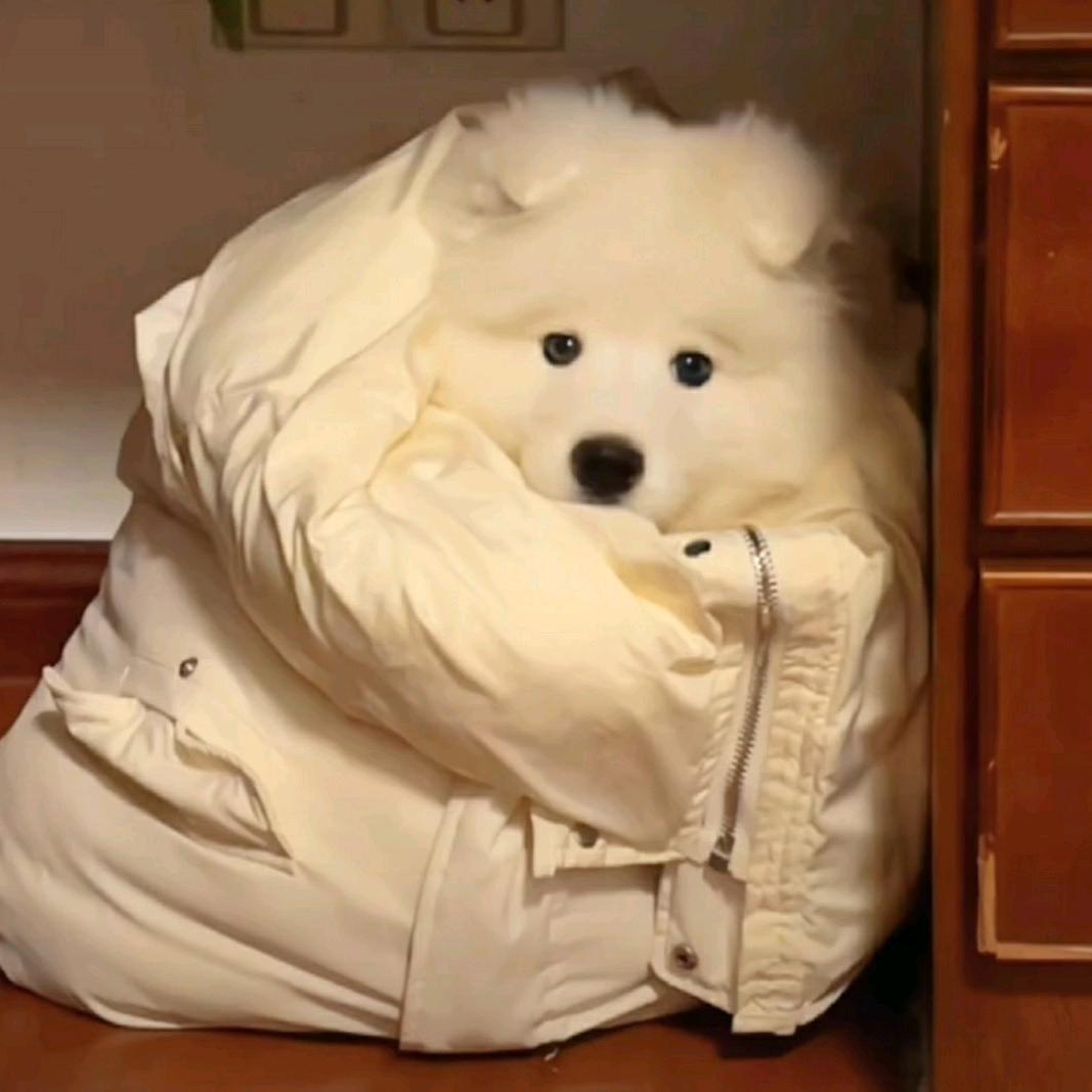 莫离予
