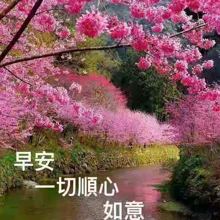好运连连