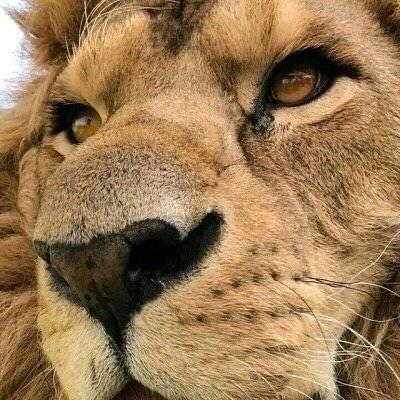 独钓寒江孤影