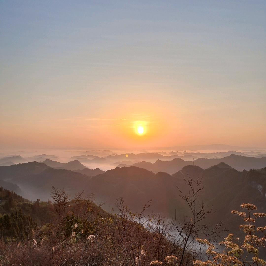 小龙