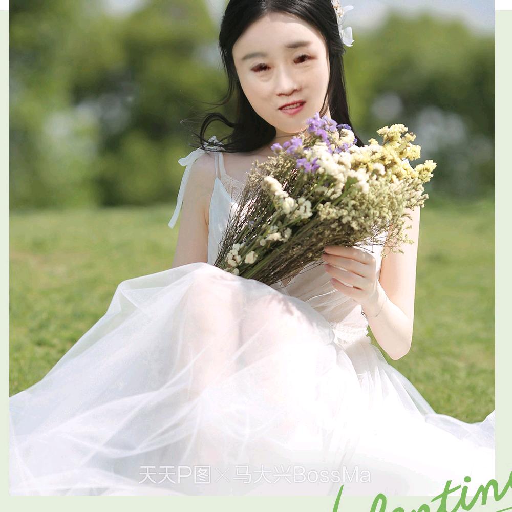 春风杨柳