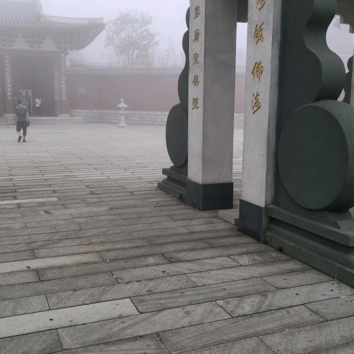 没钱就回家