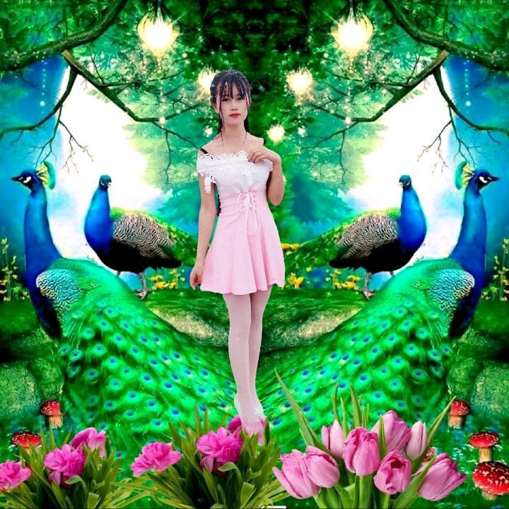 ꧁❦༺蝴蝶༒在飞༻❦꧂