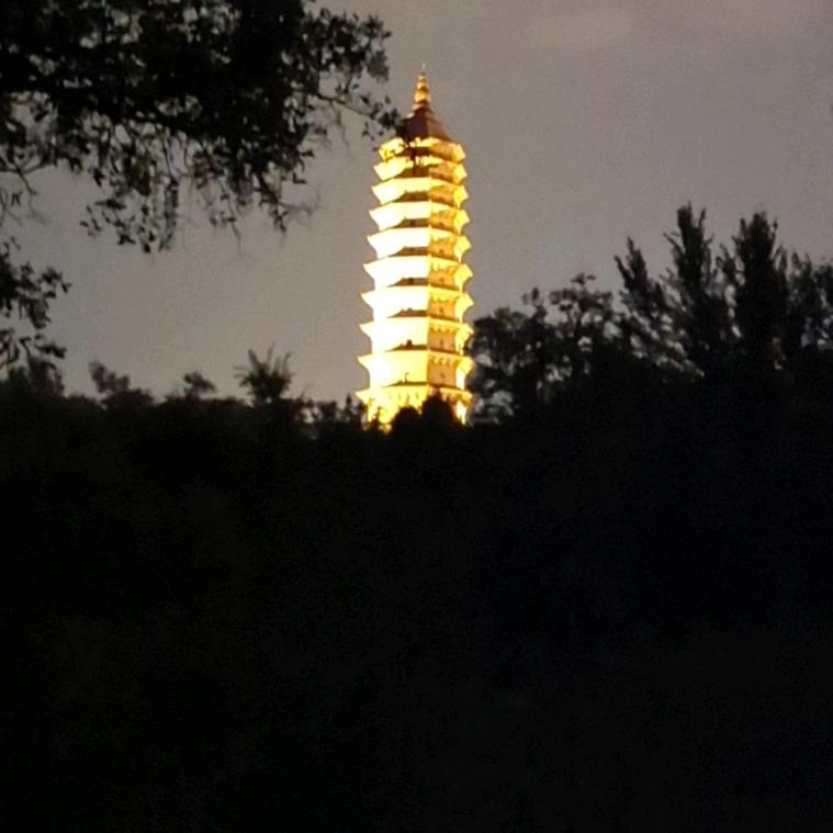 飞哥666