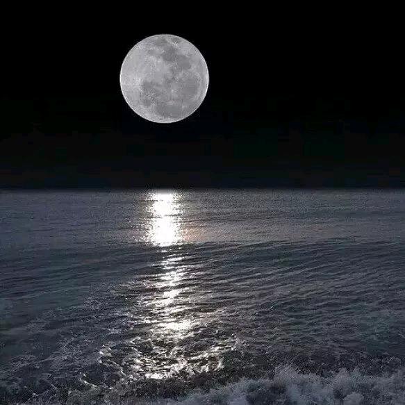 🌈钮祜禄云云🌈