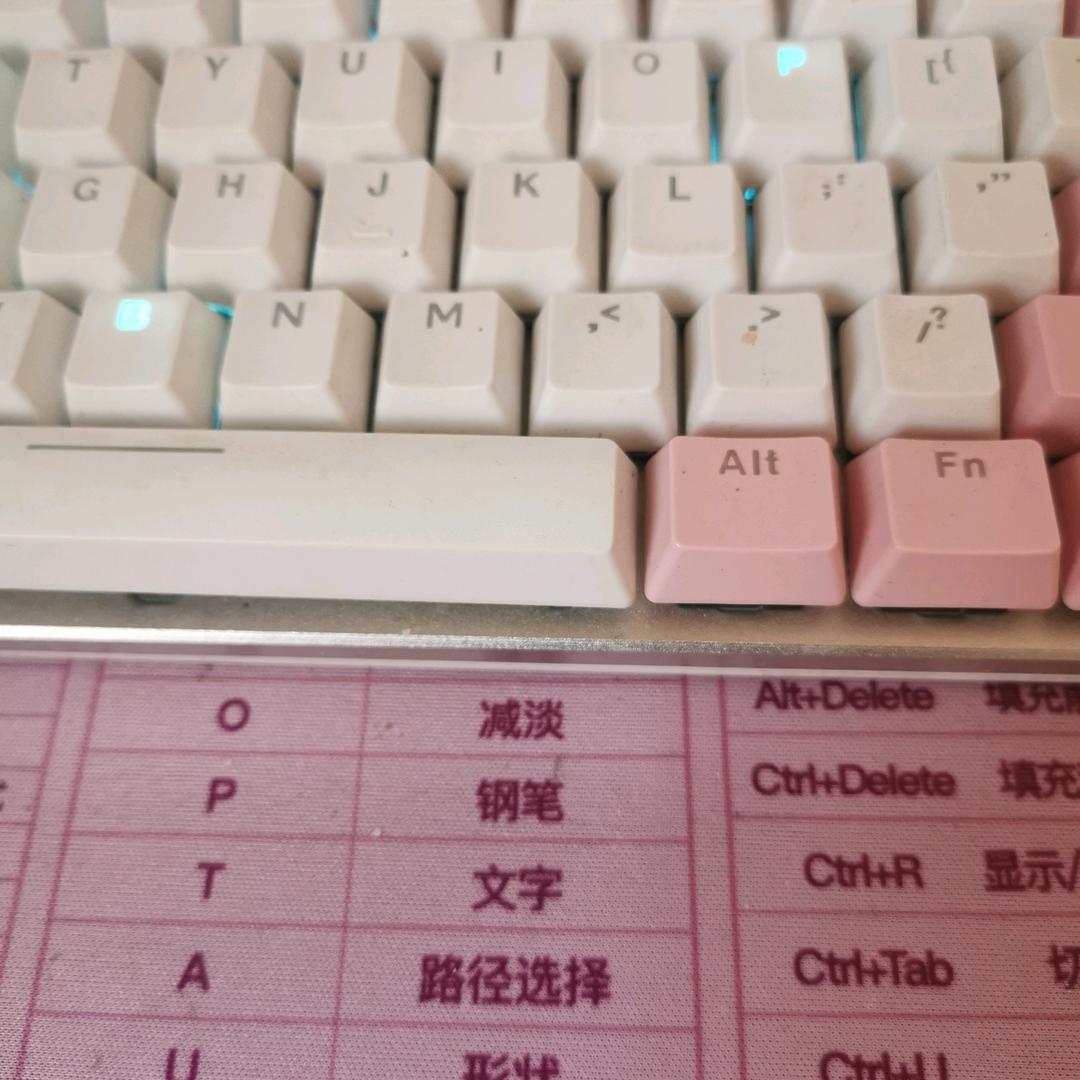 迟早是个小富婆儿
