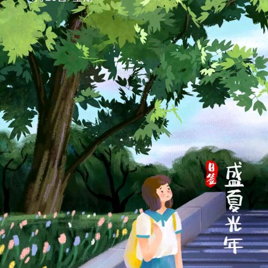 ；钢铁侠