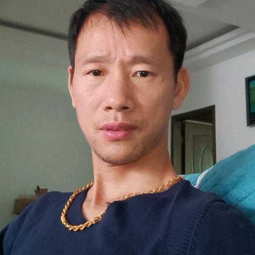 心向杨