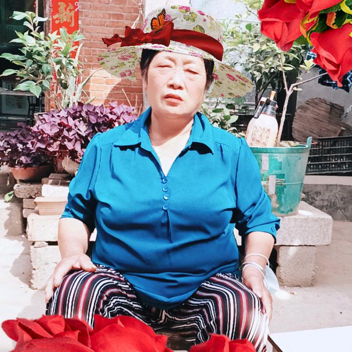 赵芝