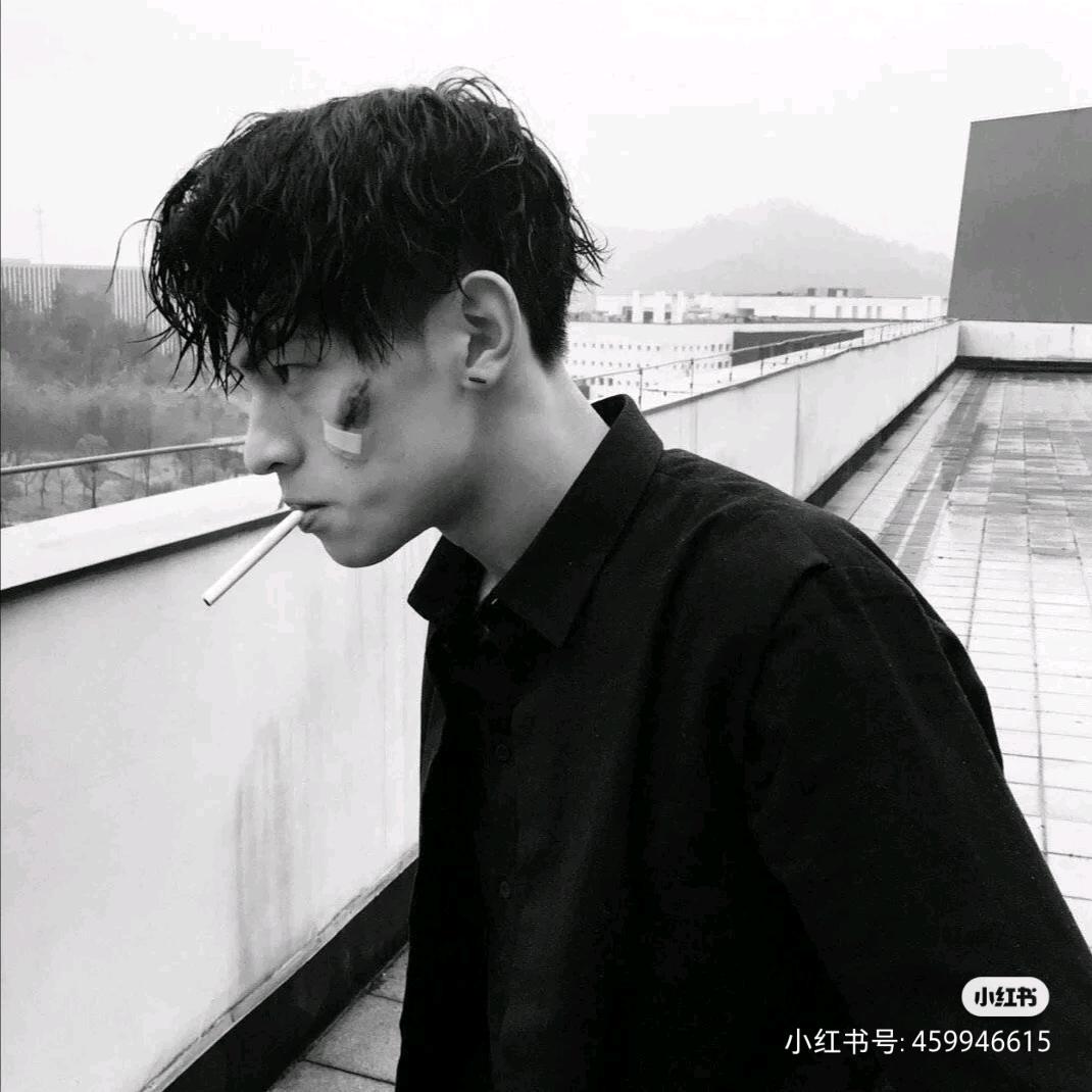 秦凡儿
