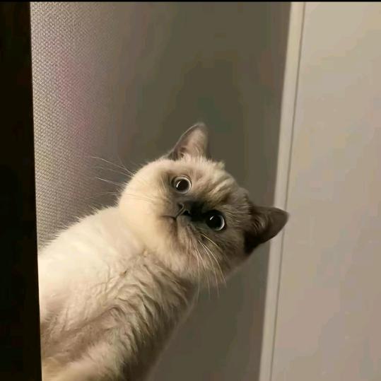 简单点·
