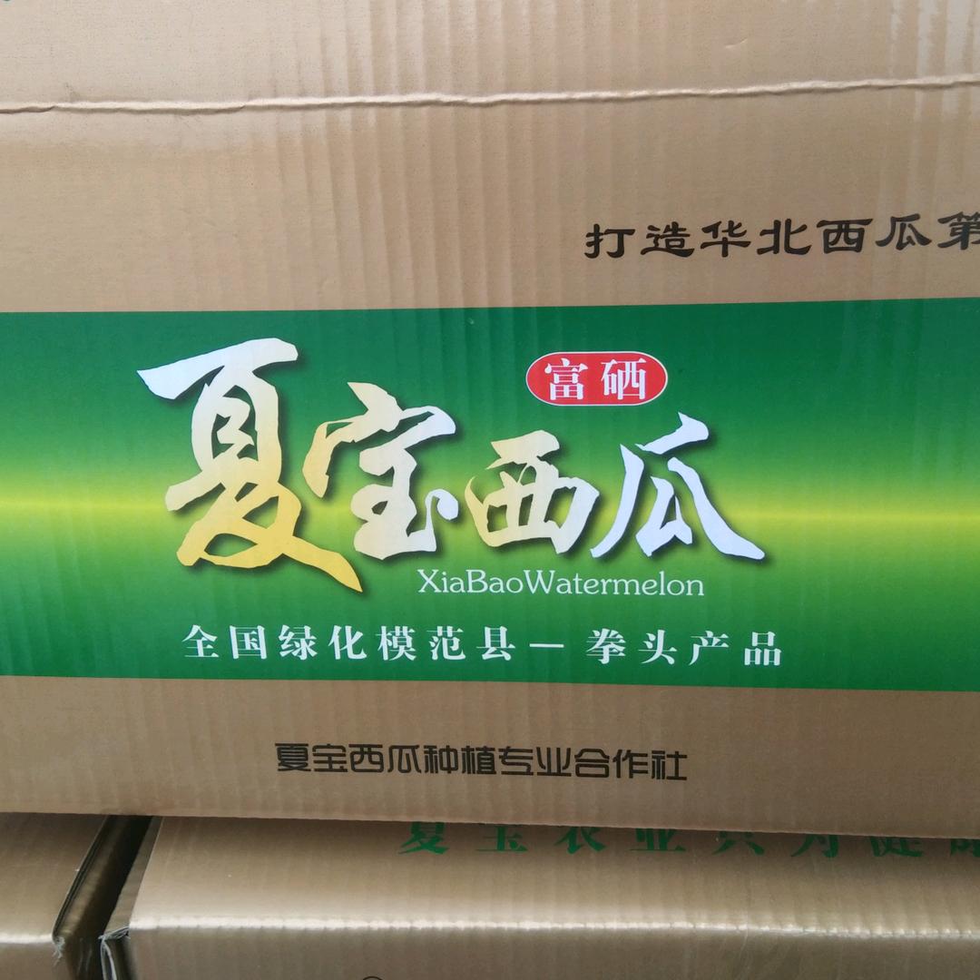 吾辈当自强