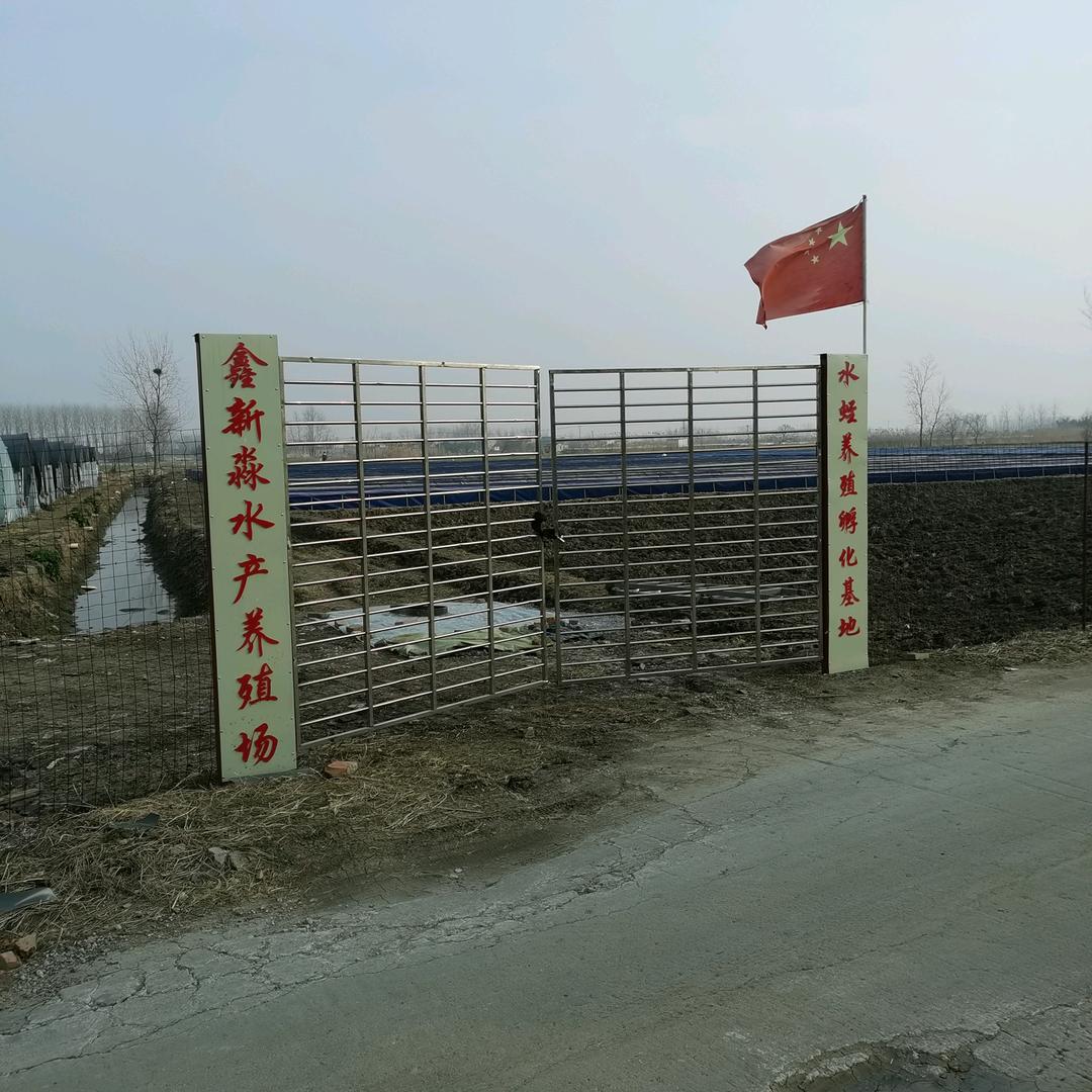 鑫新淼水产养殖场