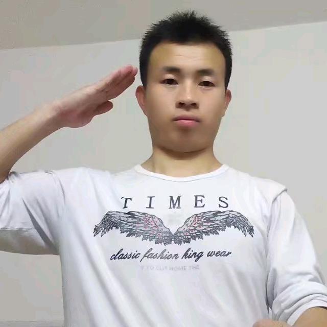 舞麟风