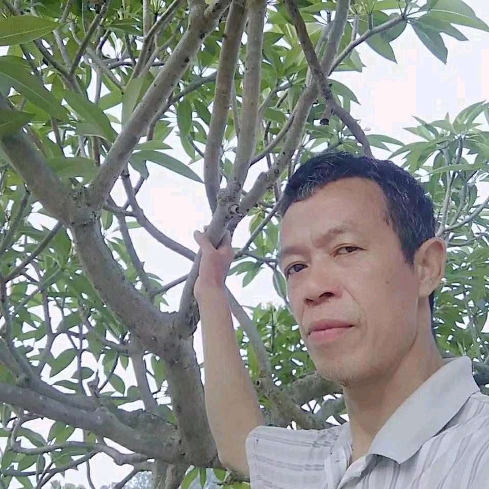 肝无敌，一至三包茶见效