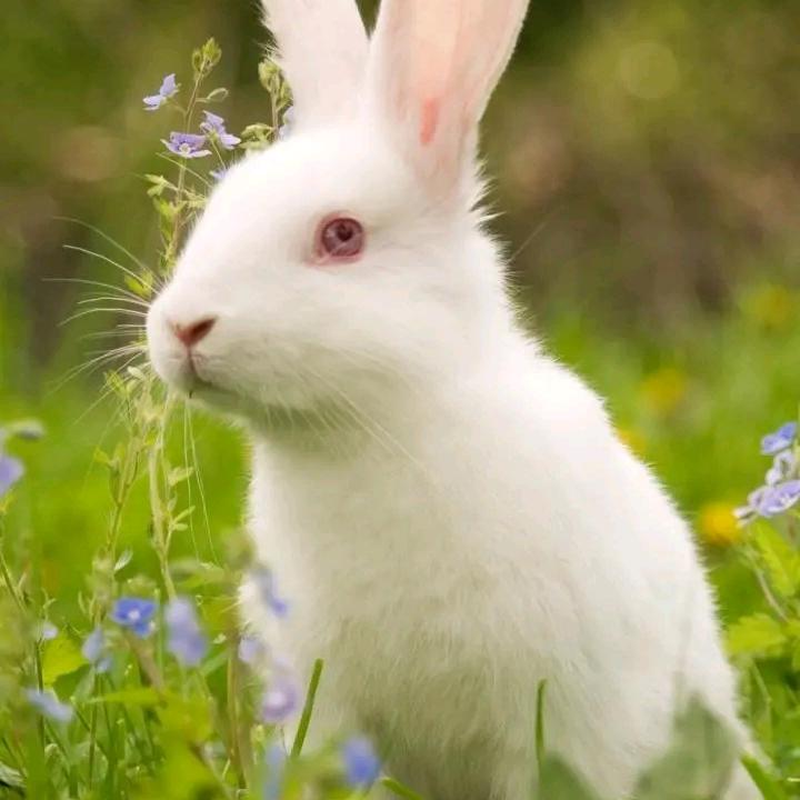 遇见星星的旅程/