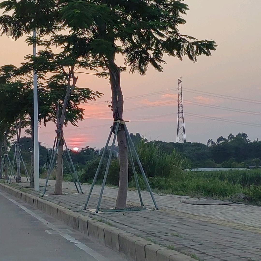 封爱~唐