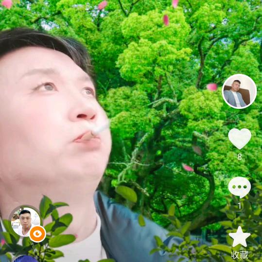 迟来的春天