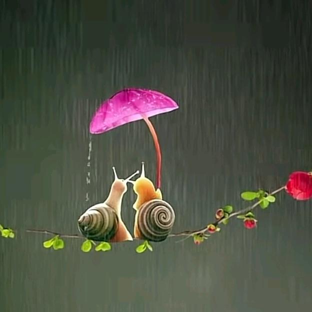 @$@两个拳头握把钱