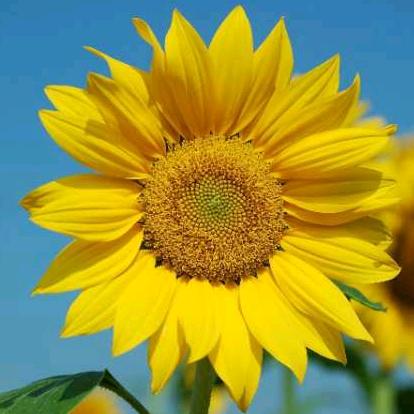 辻弌(ง •̀_•́)