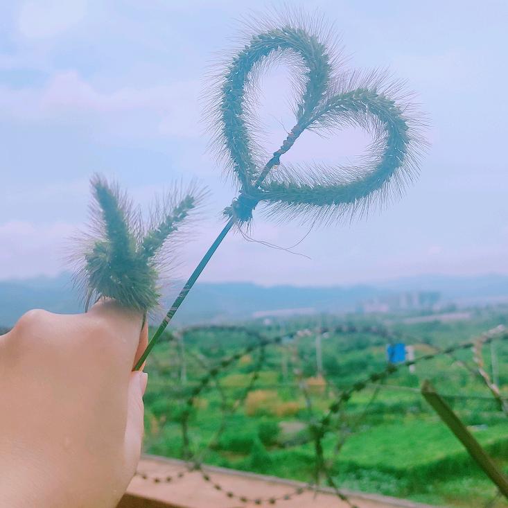🎊手可摘星陈💖
