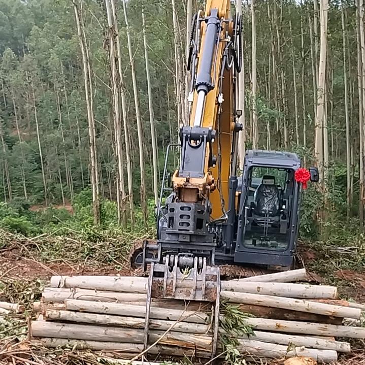 粤R夹机  挖机小马