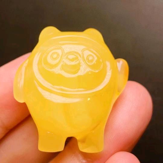 舍乐