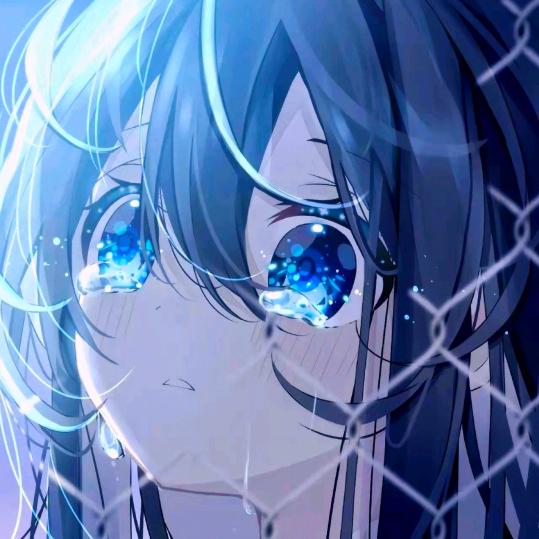 枫