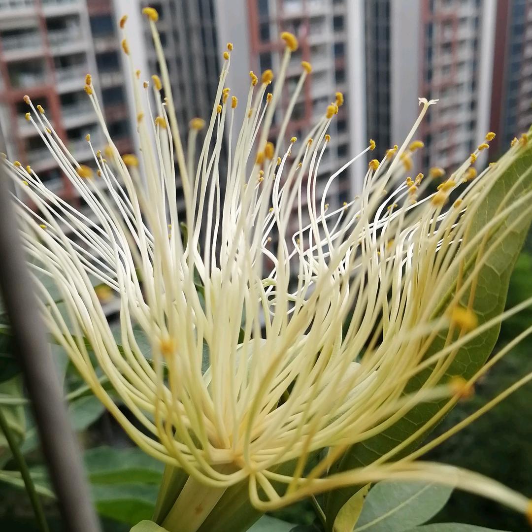 小薇^_^