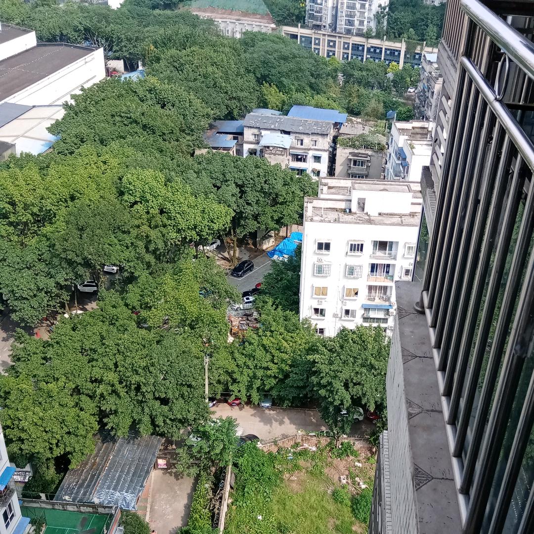 廷好
