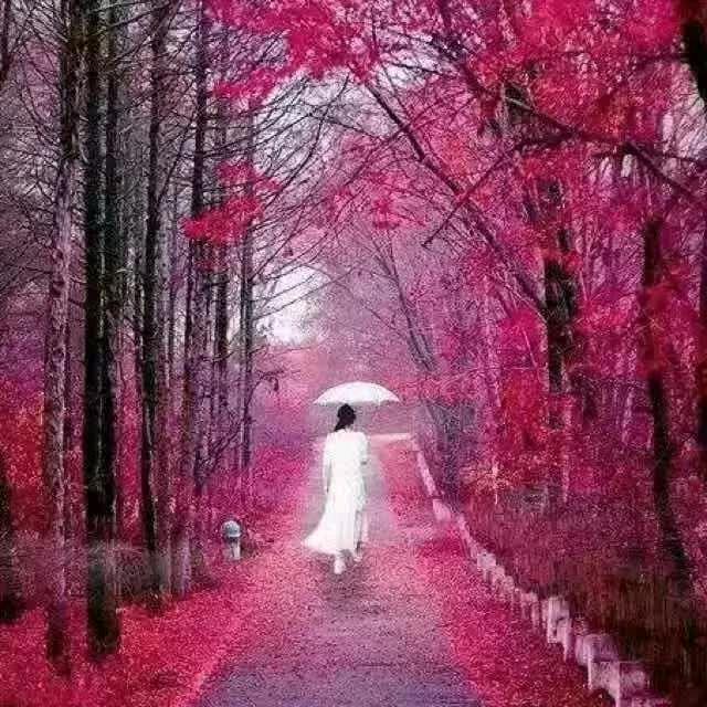 幸福美满