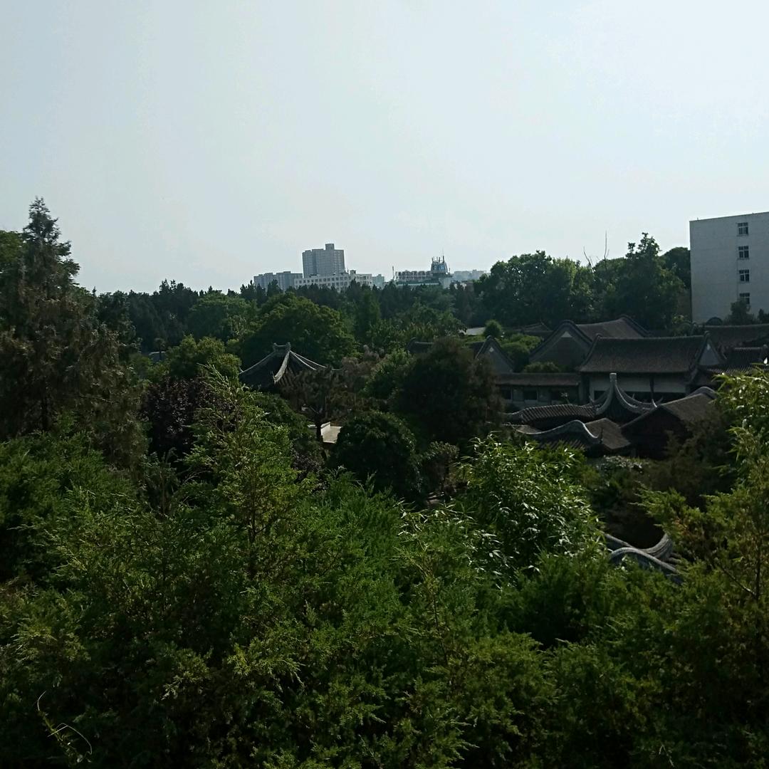 全天侯晴雨